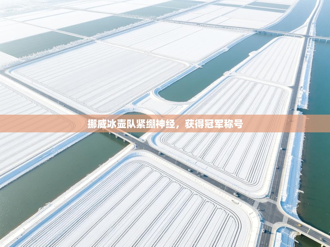 挪威冰壶队紧绷神经,获得冠军称号 第1张