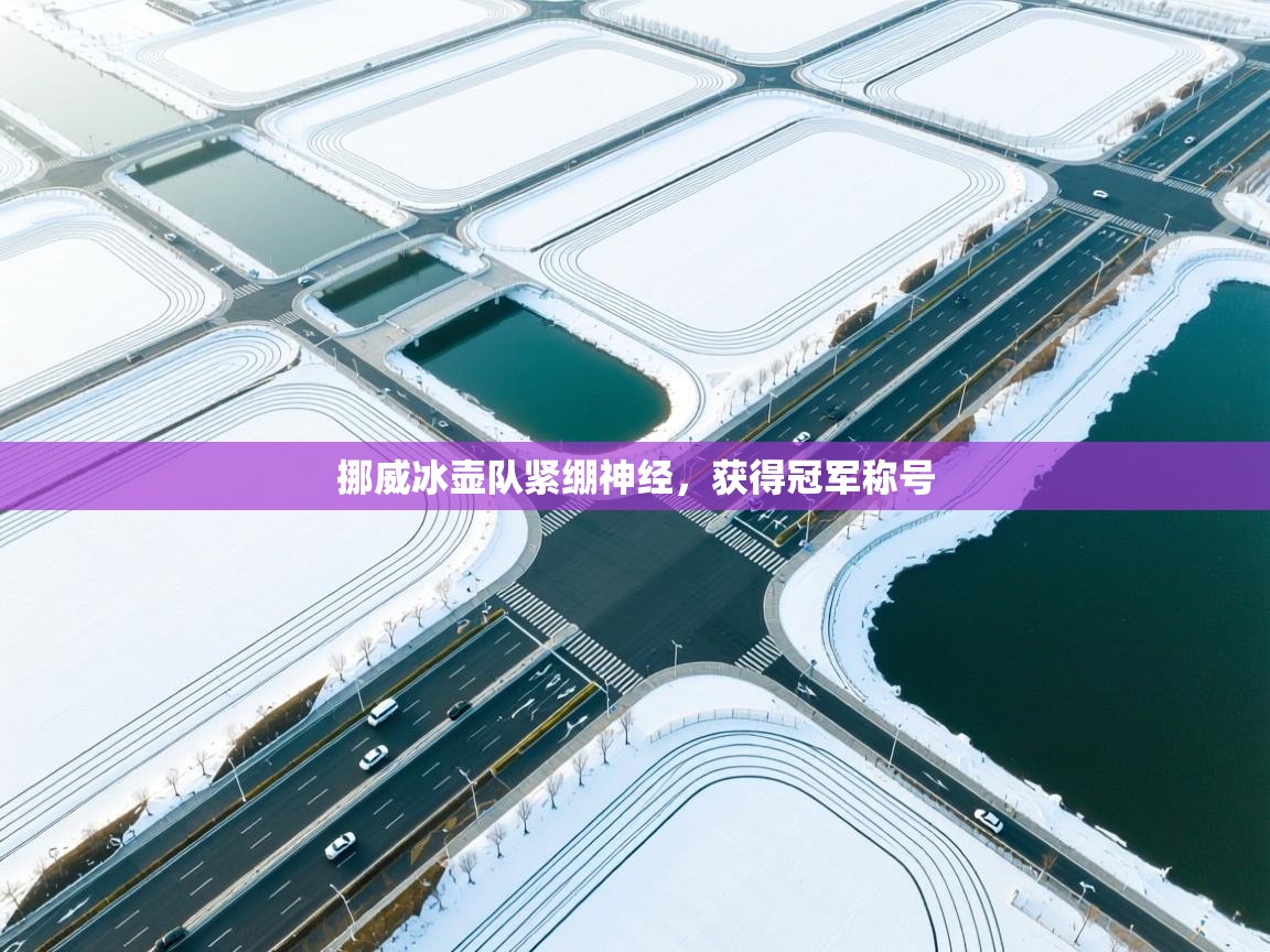 挪威冰壶队紧绷神经,获得冠军称号 第2张